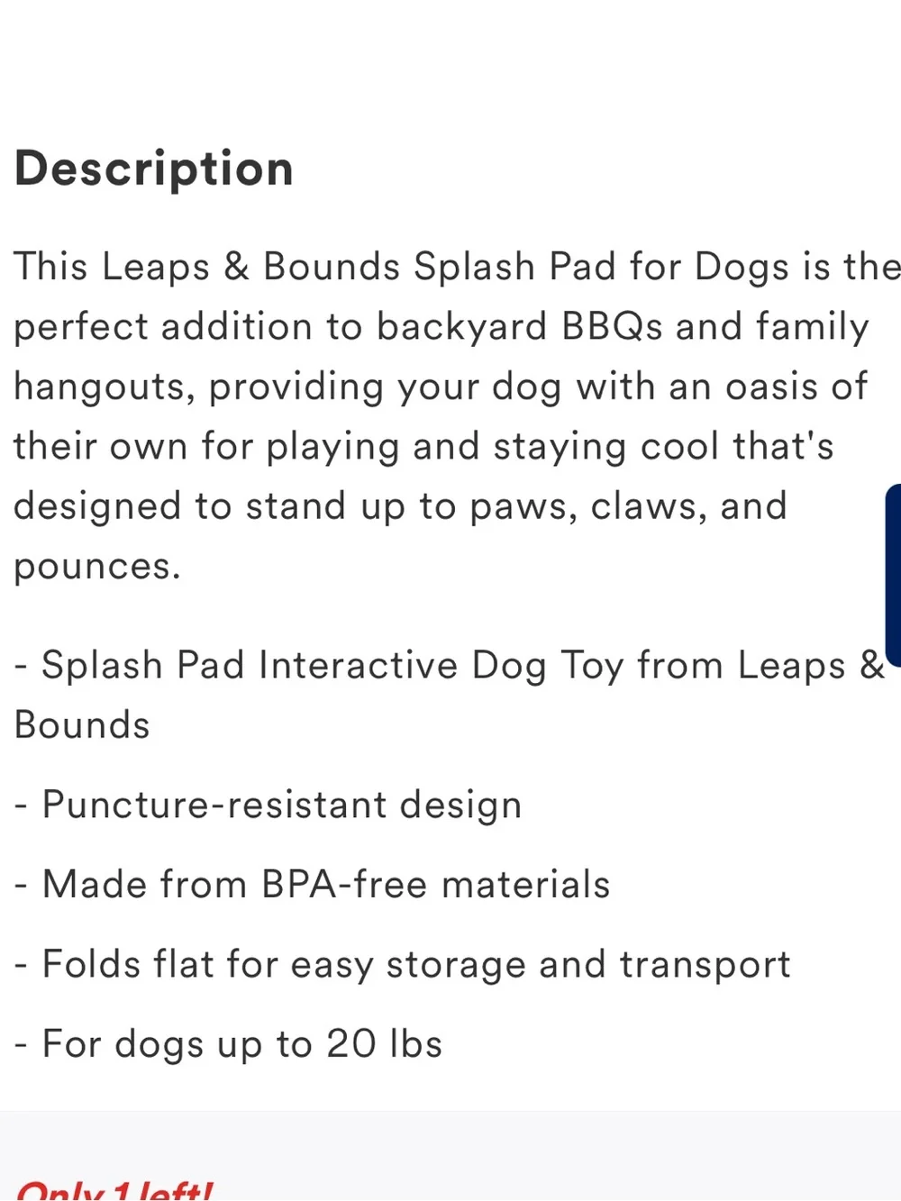 Leaps and Bounds Splash Pad for dogs